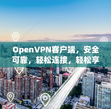OpenVPN客户端，安全可靠，轻松连接，轻松享受