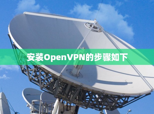 安装OpenVPN的步骤如下