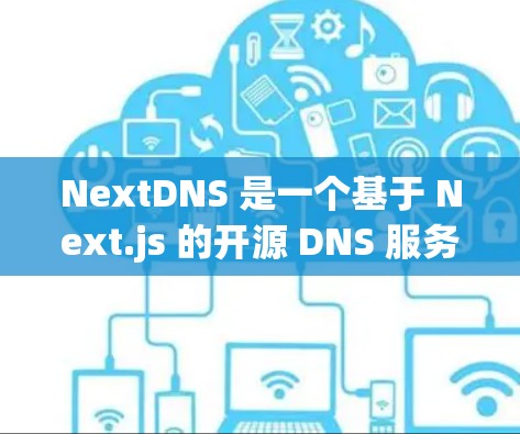 NextDNS 是一个基于 Next.js 的开源 DNS 服务，广泛应用于云服务器和企业网络中。它提供了强大的配置、灵活性和扩展性，适合多种场景使用。以下是 NextDNS 的使用方法