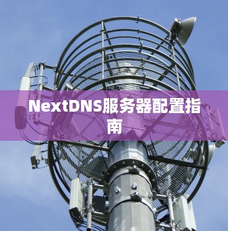 NextDNS服务器配置指南
