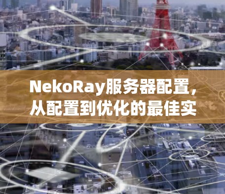 NekoRay服务器配置，从配置到优化的最佳实践