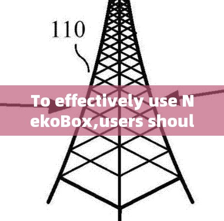 To effectively use NekoBox,users should consider the following: