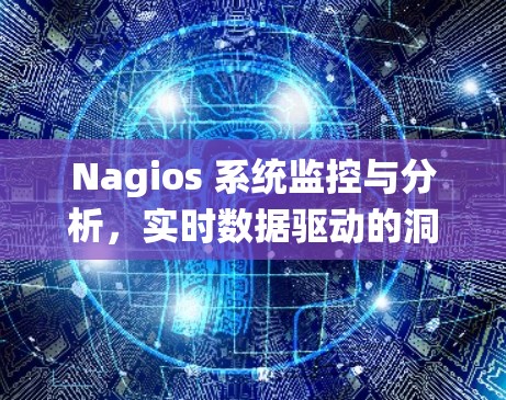 Nagios 系统监控与分析，实时数据驱动的洞察与优化