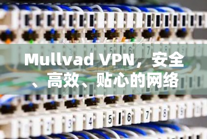 Mullvad VPN，安全、高效、贴心的网络保护解决方案