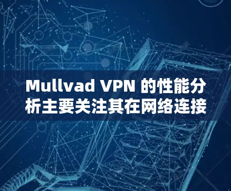Mullvad VPN 的性能分析主要关注其在网络连接速度、延迟、加密深度、网络稳定性和内存占用等方面的表现。以下是一个全面的性能分析
