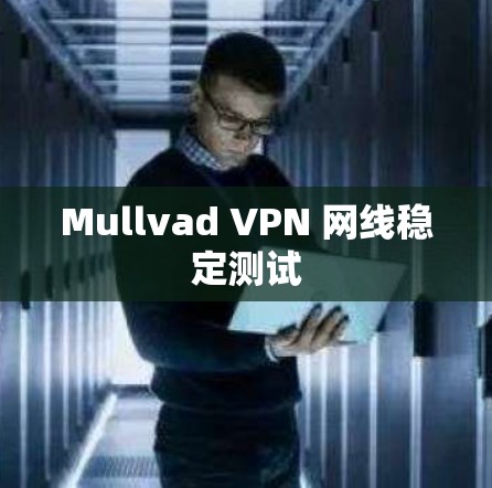 Mullvad VPN 网线稳定测试