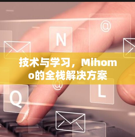 技术与学习，Mihomo的全栈解决方案