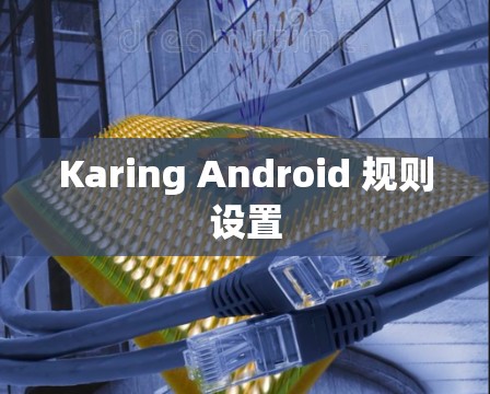 Karing Android 规则设置 Karing Android 规则设置