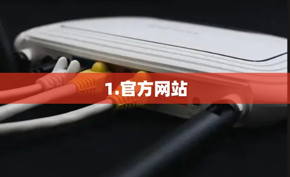 1.官方网站 1.官方网站