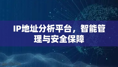 IP地址分析平台，智能管理与安全保障