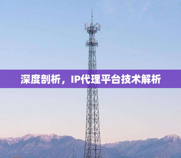 深度剖析，IP代理平台技术解析
