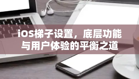 iOS梯子设置，底层功能与用户体验的平衡之道