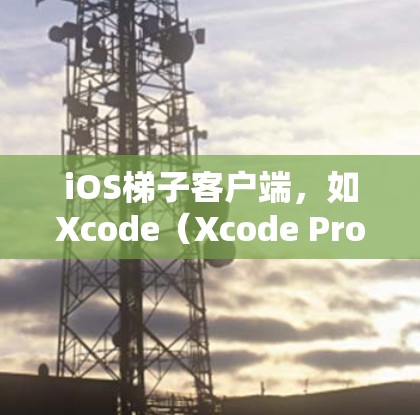 iOS梯子客户端，如Xcode（Xcode Pro）是苹果公司为开发人员提供的工具，帮助他们构建和测试应用程序。以下是一些关键点