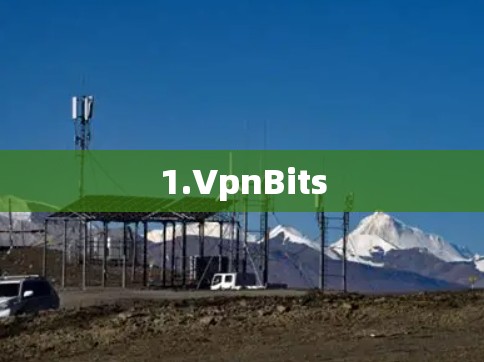 1.VpnBits