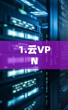 1.云VPN