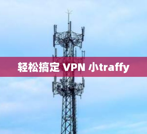 轻松搞定 VPN 小traffy