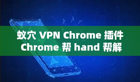 蚁穴 VPN Chrome 插件 Chrome 帮 hand 帮解