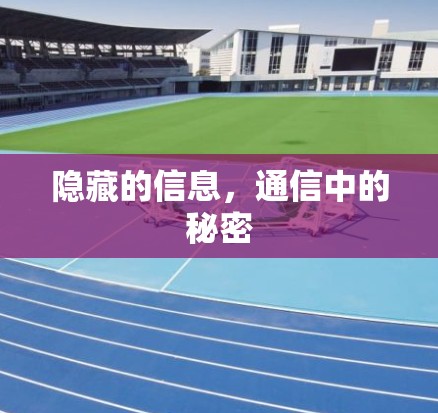 隐藏的信息，通信中的秘密