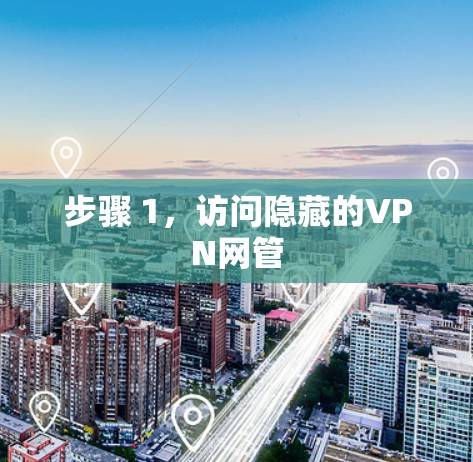 步骤 1，访问隐藏的VPN网管