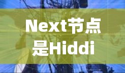 Next节点是Hiddify中的一个关键访问控制节点，主要用于跟踪用户访问路径，记录他们在系统中的活动。以下是逐步的解释