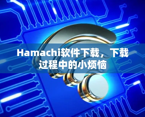 Hamachi软件下载，下载过程中的小烦恼