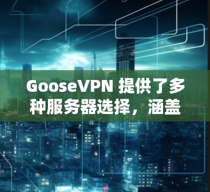GooseVPN 提供了多种服务器选择，涵盖了国内、国际、云服务器、私有服务器和企业级服务器等多种类型。以下是根据你的需求选择GooseVPN服务器的建议