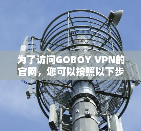 为了访问GOBOY VPN的官网，您可以按照以下步骤进行
