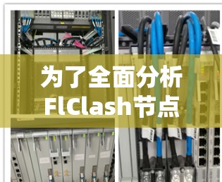 为了全面分析FlClash节点测速的情况，可以按照以下步骤进行