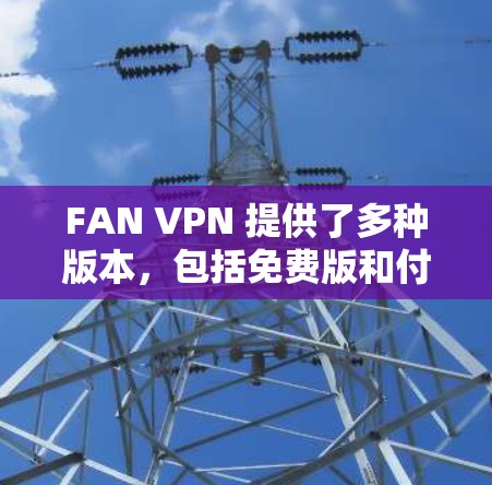 FAN VPN 提供了多种版本，包括免费版和付费版，以满足不同用户的需求。以下是关于FAN VPN官方版本的详细介绍