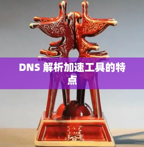 DNS 解析加速工具的特点