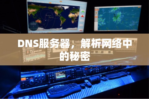 DNS服务器，解析网络中的秘密