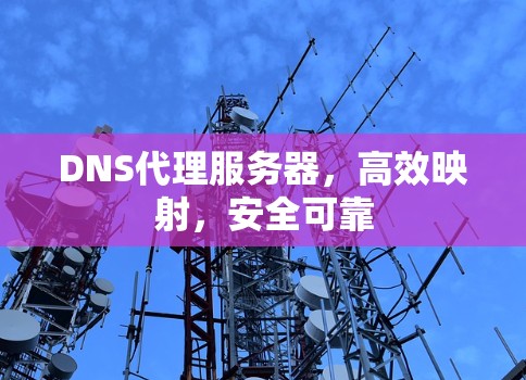 DNS代理服务器，高效映射，安全可靠