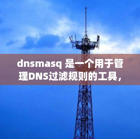 dnsmasq 是一个用于管理DNS过滤规则的工具，支持命令行模式和脚本模式。以下是使用 dnsmasq 的方法